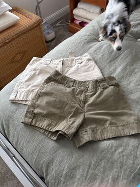 New York & Company Khaki and Cream Cotton Shorts Duo